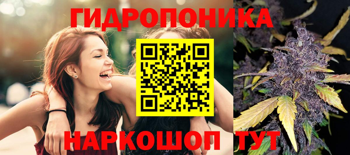 Канабис OG Kush Белорецк
